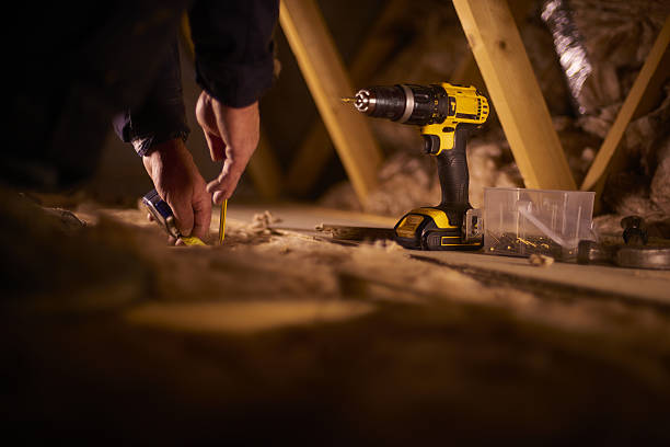 Best Insulation Installation Services in Century, FL