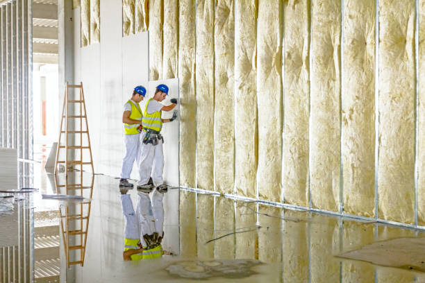 Best Commercial Insulation in Century, FL